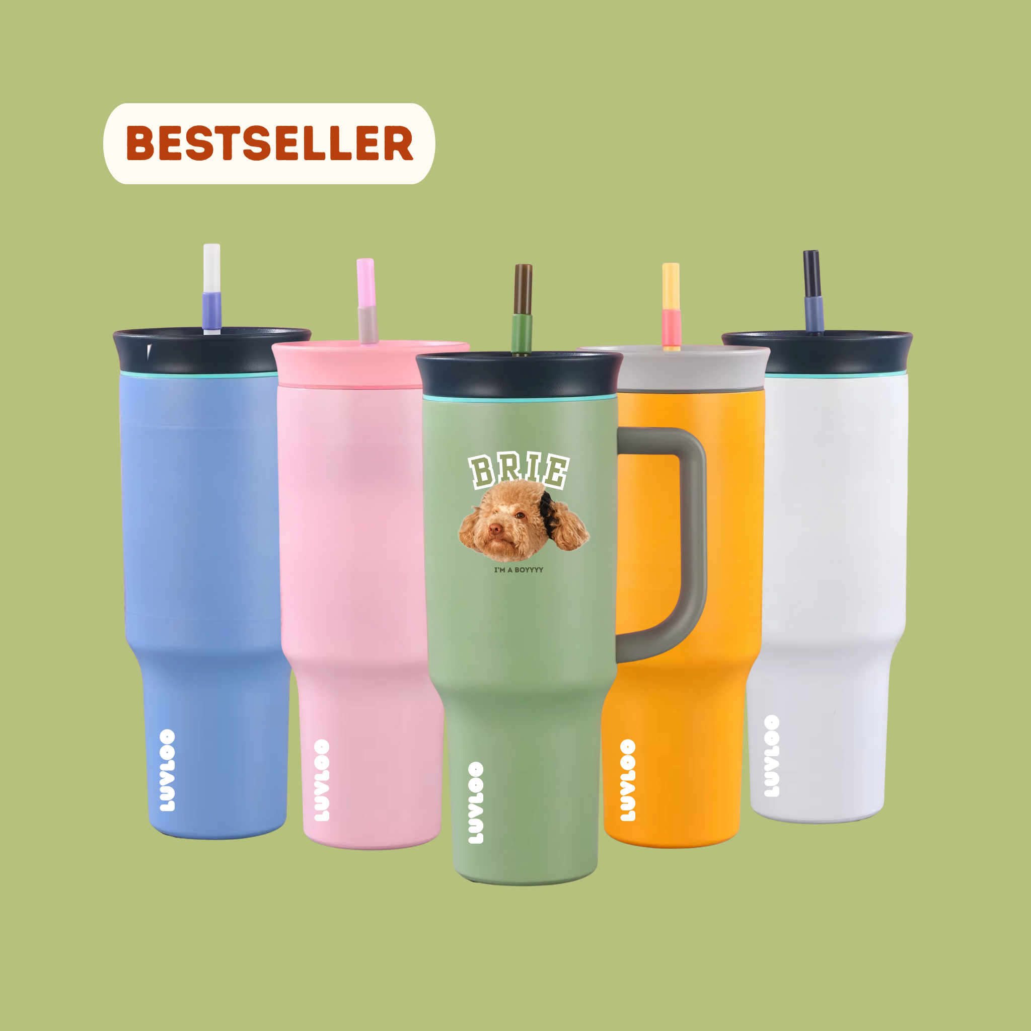 Bestsellers & Favorites