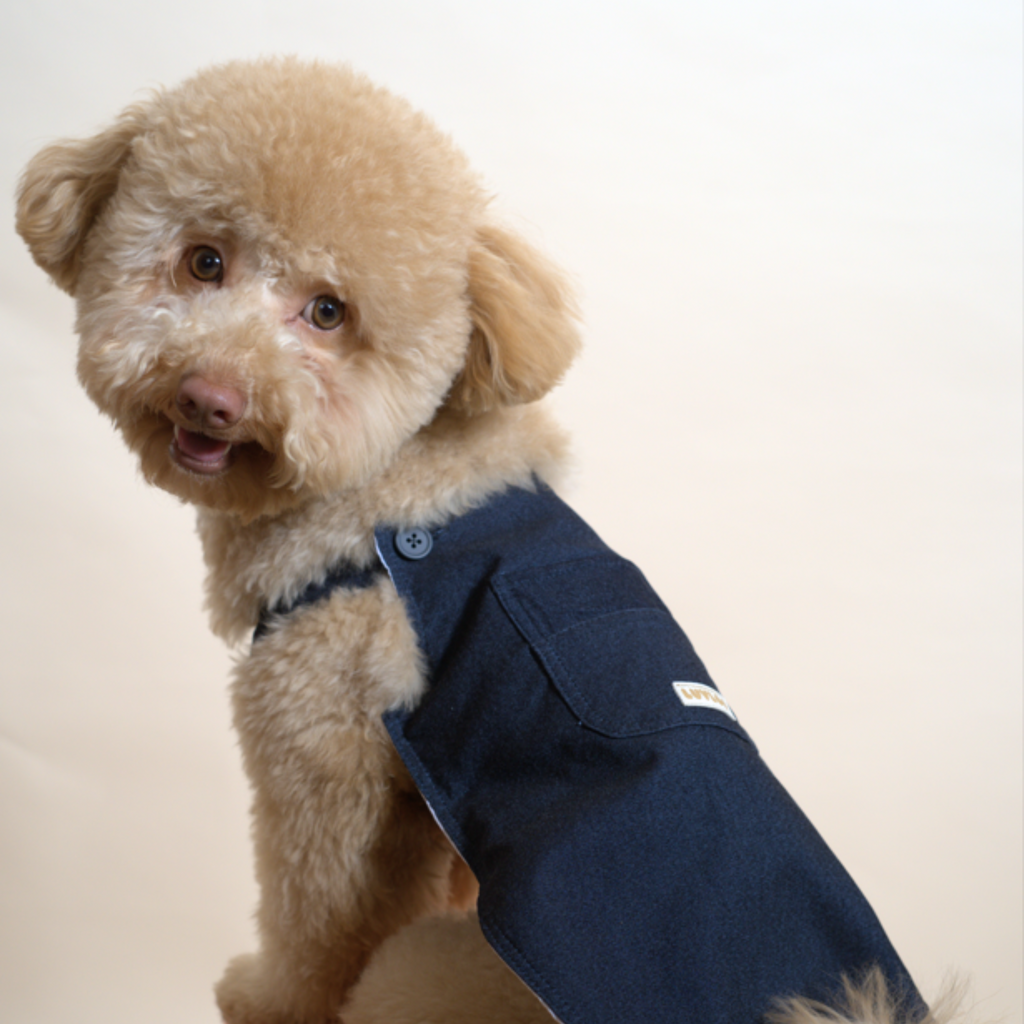 Denim Jumper