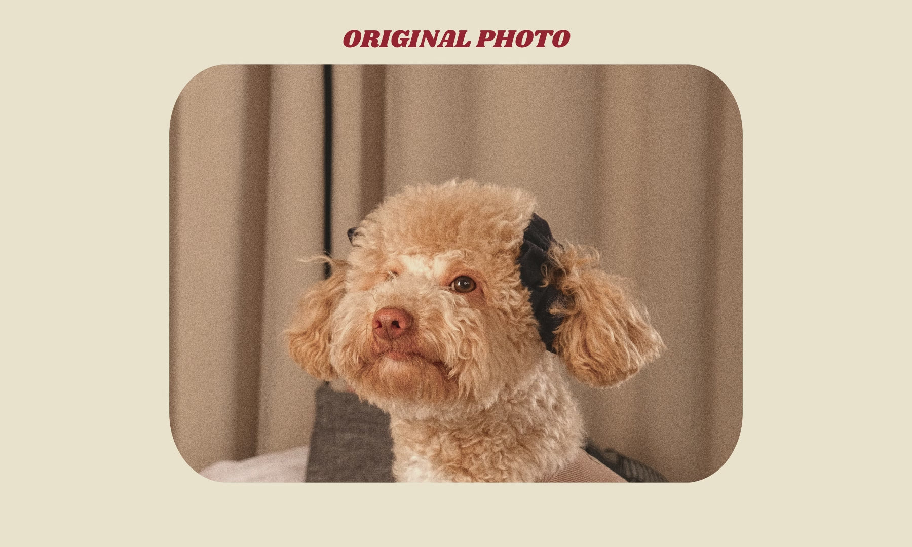 paw slide finla.mp4__PID:7b7267b1-d1d8-4137-ab37-42f1d431df57